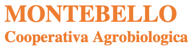 Logo progetto